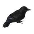 thumbnail image 2 of Halloween Black Feathered Crow Party Prop Party Favors Halloween Realistic Crows Style A, 2 of 9