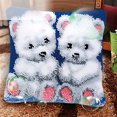 thumbnail image 2 of Transemion Creativity DIY Accessories Embroidery Pillow Kits Hypoallergenic Fabric Gift Type1 1Set, 2 of 6