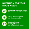 thumbnail image 4 of Iams Proactive Health Chunks in Gravy with Lamb Adult Wet Dog Food, 4 of 13