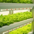 thumbnail image 4 of LED Plant Grow Light Strips for Indoor Plants Red &, 4 of 8