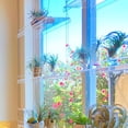 thumbnail image 4 of Transparent Commodity Shelf Multi-Layer Plant Shelf Acrylic Hanging Bracket Elegant Plant Stand Beautiful Hanging Shelf for Plant Pots Flower Pots Window Living Room Bedroom, 4 of 9