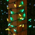thumbnail image 3 of Novelty Lights 24FT 70 LED C6 Christmas String Lights, Green & Yellow, 3 of 8