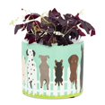 thumbnail image 2 of Abbott Collection AB-27-PL-DM-03-SM 4.5 in. Dogs on Fence Planter, Turquoise - Small, 2 of 2