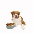thumbnail image 5 of One Paw, Large Double Stainless Steel Dog Bowl, 2.1L (71 oz), 5 of 5