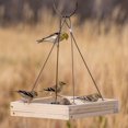 thumbnail image 3 of Perky-Pet 1.6 lb Hanging Tray Bird Feeder, 3 of 3