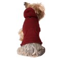 thumbnail image 1 of Holiday Time Rhubarb Hoodie with Pocket for Dogs, 1 of 3