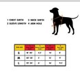 thumbnail image 3 of Thinsony Fun Basketball Clothing For Dogs Must-have For Sports Fans Providing Safe Basketball Clothes Yellow S, 3 of 6