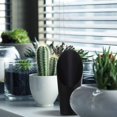 thumbnail image 4 of Succulent Kit Mini Succulent Garden Tool Kit Garden Hand Tools Transplanting Tool Set With Organizer Bag Gardening Tool Terrarium Supplies, 4 of 5