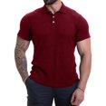 thumbnail image 3 of FNFYFH Clearance Chemises de Golf pour Hommes Col Manches Courtes T-Shirts Été Col Rabattu Blouses Vin,S, 3 of 8