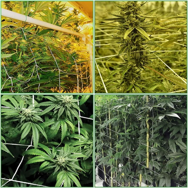 Gardening Planter, Nylon Netting Garden Climbing Plant Net Fence Green Support Plant Climbing Net, Seed Disseminators