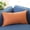 Orange, variant on Xihbxyly throw pillow covers Decorative Pillow Covers Rectangle Cushion Cover Silk Throw Pillow Case Pillowcase