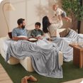 thumbnail image 1 of Bare Home Microplush Fleece Blanket - 300 GSM - Fuzzy Microfleece - Soft & Plush - Giant, Light Gray, 1 of 9