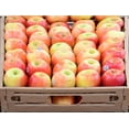 thumbnail image 2 of Pomme Pink Lady, Vendues individuellement, 0.13 - 0.18 KG, 2 of 2
