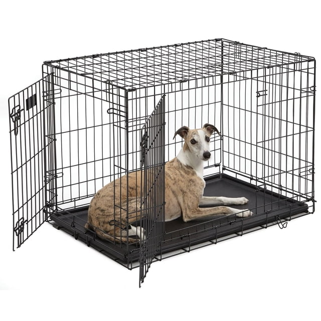 Maisons Midwest pour Animaux de Compagnie Intermédiaires 36 Pouces iCrate Cage pour Chien à 2 Portes avec Fini e-coat Noir et base de Poêle en Plastique composite, avec Deux Portes Ouvertes pour Accès avant et Latéral, Portabilité Pliable et Transport, et un Chien de Taille Moyenne Allongé à l'Intérieur sur Fond Blanc, Idéal pour un placement flexible à la Maison et l'Entraînement en Cage avec Panneau Séparateur Inclus.