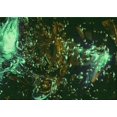 thumbnail image 1 of Ahgly Tapis Rectangulaire Lavable en Machine Intérieur Transitionnel Noir Nuit, 2 Pieds x 5 Pieds, 1 of 7