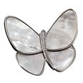 thumbnail image 2 of Broche Décorative, Broche Décorative en Métal Insecte Vêtements Ornement Vêtements Broche Haute Performance, 2 of 12