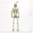 thumbnail image 2 of Halloween Skeleton Decorations with Posable Joints Skeletons for Halloween Party Haunted House Props Decorations, 2 Packs, Style 4, 2 of 9