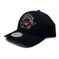 thumbnail image 2 of Raptors de Toronto 110 Flex Logo Vintage HWC Uni Ajustable à Bouton-Pression, 2 of 4