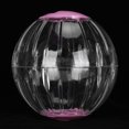 thumbnail image 4 of Ball Pet Golden Hamsters Exercise Ball Toy Running Machine Transparent Jogging Ball 18.5cm, 4 of 7