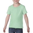 thumbnail image 1 of Heavy Cotton Toddler T-Shirt, 2T, Mint Green, 1 of 3