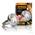 thumbnail image 3 of Ampoule Intense Exo Terra pour lézarder, S30, 150 W, 3 of 3