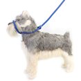 thumbnail image 3 of Dog Leash, Nylon Durable Dog Rope Leash Heavy Duty  for Small Medium Dogs for Walking Black,Red,Blue, 3 of 7