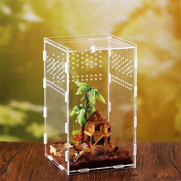 Terrarium reptile terrarium insect terrarium lizard snake spider crawling scorpi