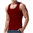 thumbnail image 1 of Timegard Hauts d'Entraînement pour Hommes Col Rond Sans Manches Tee-Shirts Confortables Décontractés Débardeur d'Entraînement Été, 1 of 6