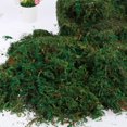 thumbnail image 1 of Green Moss for Crafts Natural Artificial Moss Decorative Faux Moss for Potted Plants 28 OZ Multipurpose Faux Craft Moss for Table Centerpieces Wedding Party Decor, 1 of 11