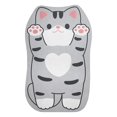 thumbnail image 2 of Boovnll Bathroom Rugs, Absorbent Thicken Non-Slip Backing Super Absorbent Floor Mat, Bathroom Absorbent and Quick-Drying Carpet Floor Mats, Door Bathroom Non-Slip Floor Mats, Bath Mat, 2 of 2