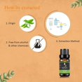 thumbnail image 3 of KRIAA Goodness Tea Tree Essential Oil 10ml with Dropper, 3 of 6
