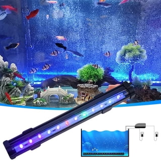 best fishing pole for light lures Combo, 6.9ft 2Pcs Telescopic Rods Set, Collapsible Carbon Fiber Fishing Rods, 2PCS Spinning Reel Set with Carrier Bag Freshwater Fishing Rod and Reel Combos Kits (2.1M/6.89FT) : Sports free frame design that Long Distance Casting Spinning Jig Head Color:Red parker