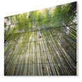 thumbnail image 1 of Design Art - Bamboo forest of Kyoto Japan., 1 of 5