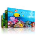 thumbnail image 2 of Youkk Beautiful PVC Aquarium Background Poster Vibrant Fish Tank Decoration Landscape 30x52cm 1Set, 2 of 6