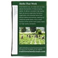 thumbnail image 5 of Traditional Medicinals - Organic Raspberry Leaf Herbal Tea - 16 Tea Bags, 5 of 5