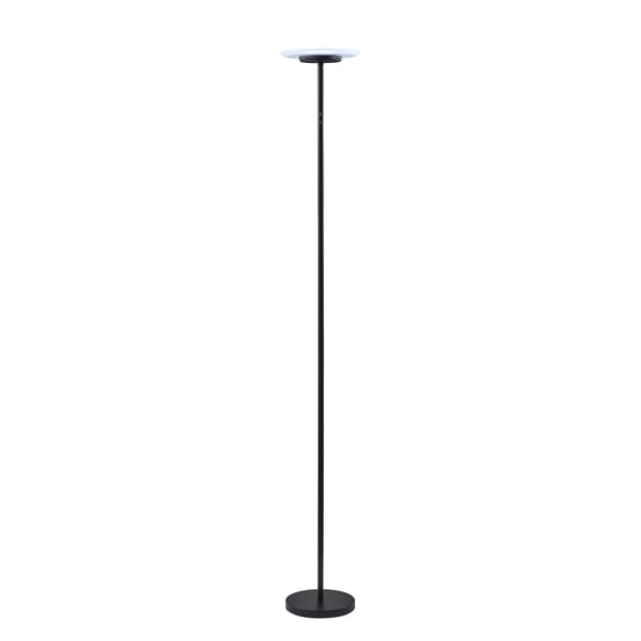 Mainstays Branded RGB Black Floor Lamp, 6 Different Automatic Color Change, Modern Design, New