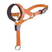 2025 Pet Dog Nylon Rope Training Dog Leash Training Leash Strap Adjustable Walkabout Leash Traction Collar