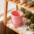 thumbnail image 3 of Succulent Modern Indoor Planter Containers With For Cactus Bonsai And Home Garden Flower Hangers for outside round Flower for Indoor Mini Flower for Crafts Bulk Small Flower for Indoor Ceramic Ceramic, 3 of 6