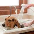 thumbnail image 4 of letairis Plastic Pet Washing Spray Sink Bath Tub Sprinkler Cleaning Tool, 4 of 8