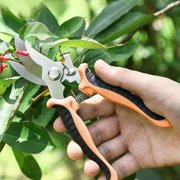 Dvkptbk Stainless Steel Pruning Shears Stainless Steel Multifunction Tree Gardening Shears Orchard Flower Garden Tree with Floral Scissors Household Tools