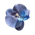 thumbnail image 1 of Épingle à Cheveux Orchidée Phalaenopsis 2025 Nouveau Y1G7, 1 of 7