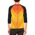 thumbnail image 2 of Halloween Autumn Fall Leaf Costume Mens Raglan T Shirt, 2 of 2