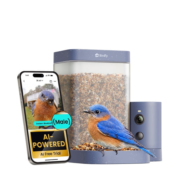 Birdfy Smart Bird Feeder with Camera, 60FPS Smooth Video, AI Bird Identification & Instant Alerts, Auto Capture, Perfect Gift for Bird Lovers centered front-facing shot of a compact outdoor bird feeder with a visible camera lens above the seed tray and a mounting loop; shows 1080P HD live-stream capability, 60FPS slow-motion, AI bird identification and full-color night vision, often used for documenting visiting species.