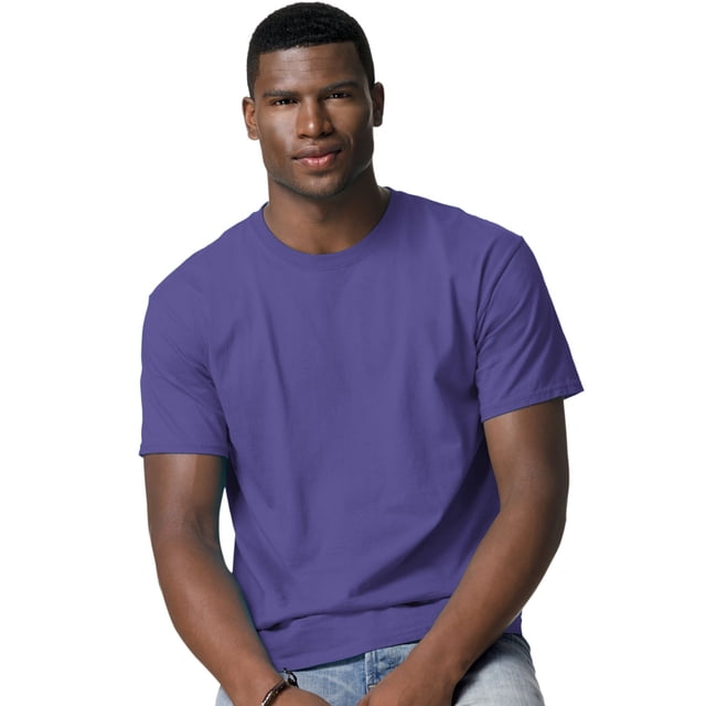 Hanes 5250 Tagless T-Shirt Purple Small