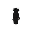 thumbnail image 2 of BLISSFUL STEP Women's Open Toe Ankle Strap Block Heel Sandals Black 6, 2 of 7
