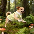 thumbnail image 4 of Winter Coat Vest With Leash Ring Warm Jacket For Small Medium Dogs Fashionable Cold Weather Apparel With Multiple Colors & Sizes Pet Clothes Rack Hanger Pet Clothes Hangers Pet Clothes for Medium Dogs, 4 of 5