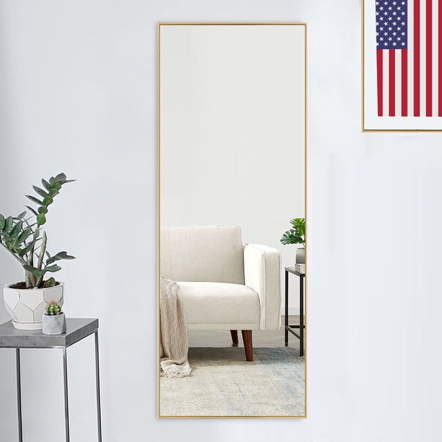 NeuType Full Length Floor Mirror Rectangular Gold 55"x16"