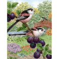 thumbnail image 1 of Carolines Treasures ASA2115GF Long Tailed Tits Flag Garden Size, 1 of 3