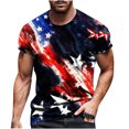 thumbnail image 2 of Snoarin Chandails en Molleton pour Hommes Col Rond Décontracté Impression Numérique 3D Pull Entraînement Physique Sports Manches Courtes T-Shirt Blouse 4 Juillet Chemises pour Hommes en Solde, 2 of 5