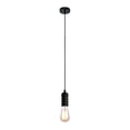 thumbnail image 2 of 1-Light Black Plug-In/Hardwire Pendant Lighting, 2 of 8